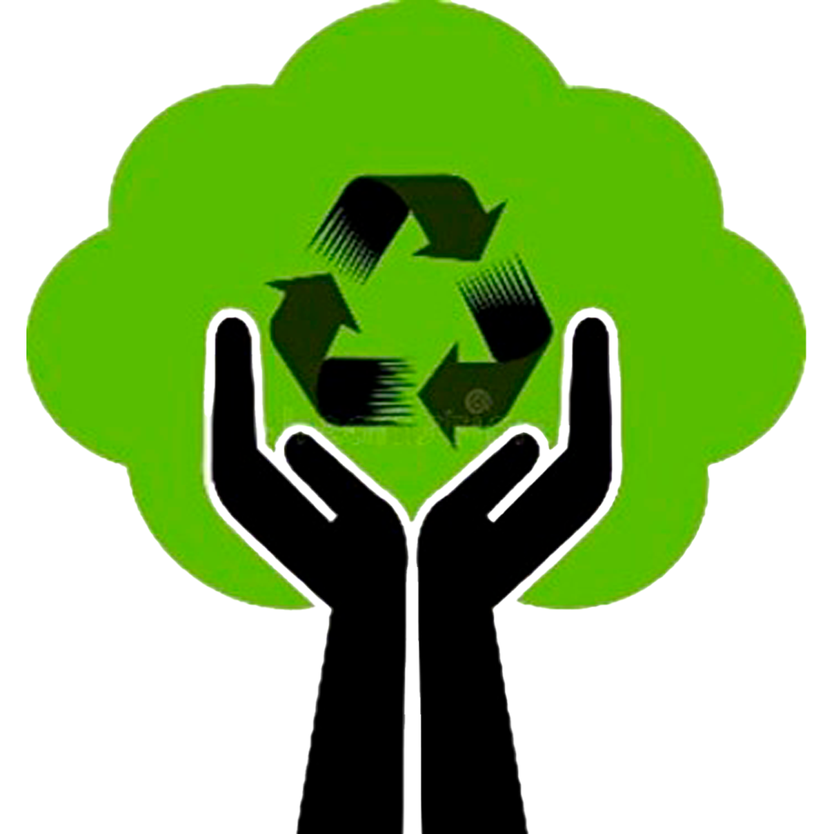 ASOCIACION DE RECICLADORES BOGOTA V